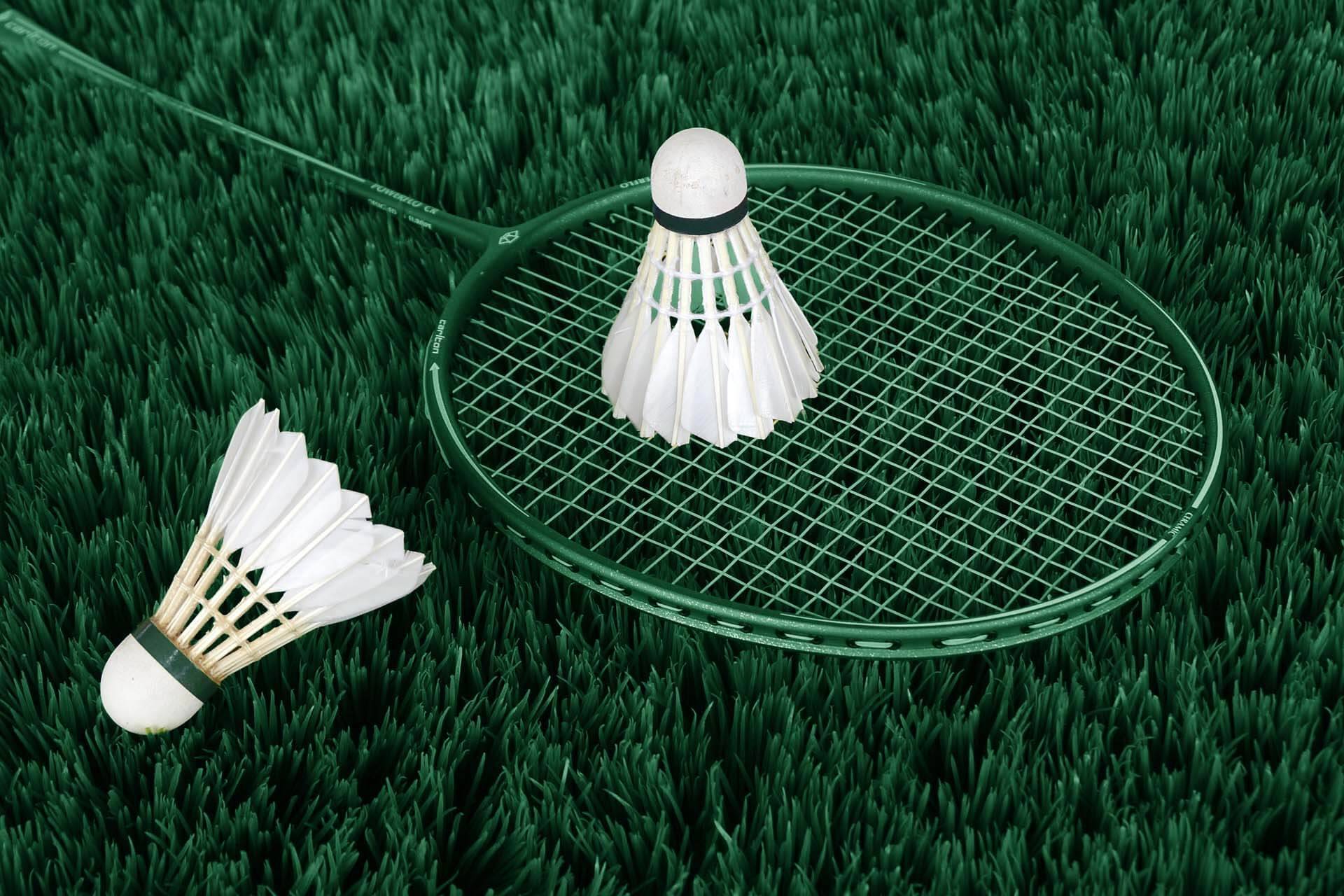 Badminton Badminton