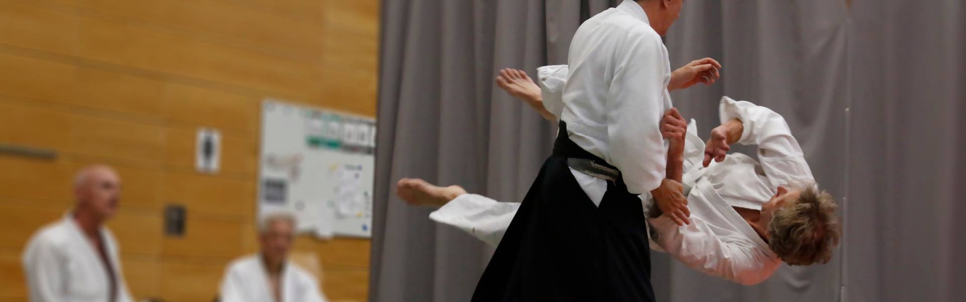 Aikido Aikido